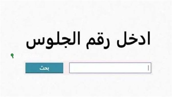 برقم الجلوس.. نتيجة الصف الثالث الإعدادي 2025 في المنيا
