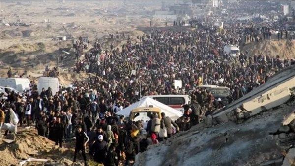 الإفتاء: قرار إسرائيل احتلال قطاع غزة يصفي القضية الفلسطينية