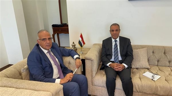 وزيرا الخارجية والري يؤكدان رفض مصر التام للإجراءات الأحادية المخالفة للقانون الدولي في حوض النيل الشرقي