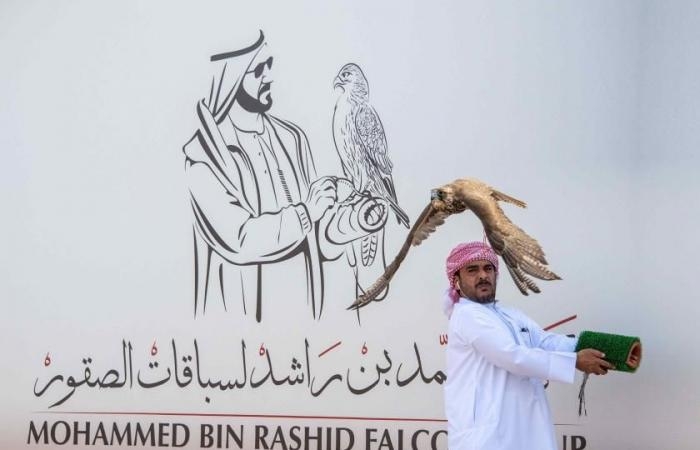 رياضة : أرقام ملفتة في كأس محمد بن راشد لسباقات الصقور