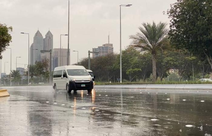 أخبار العالم : الإمارات.. موسم العقارب بدأ وفرصة الأمطار تزيد