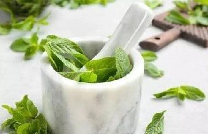 صحة وطب : هل تناول النعناع عند الجوع يساعدك على خسارة الوزن؟