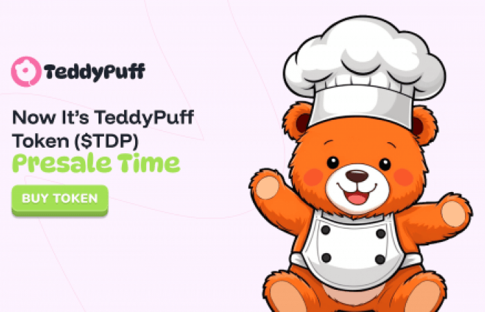 حقق Doge نجاحه، واستولى SHIB على الأمر - الآن حان وقت البيع المسبق لعملة TeddyPuff (TDP)! ابدأ الآن!