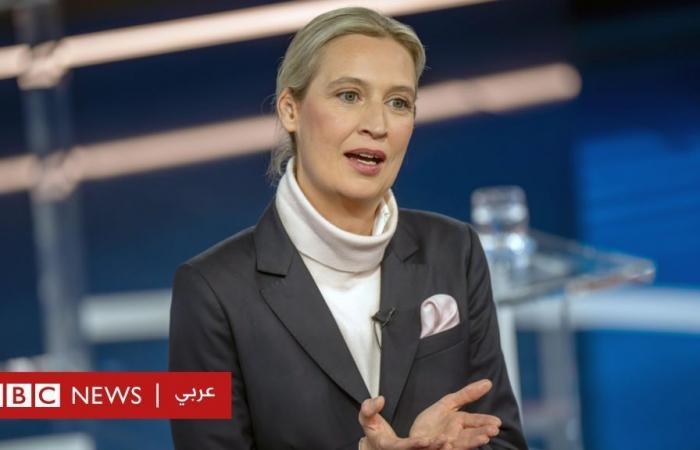 أخبار العالم : من هي أليس فايدل اليمينية المثلية التي تسعى إلى حُكم ألمانيا؟