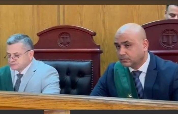 أخبار مصر : السجن 15 سنة لسائق وصاحبة شركة لاتهامهما بالتزوير في محررات رسمية