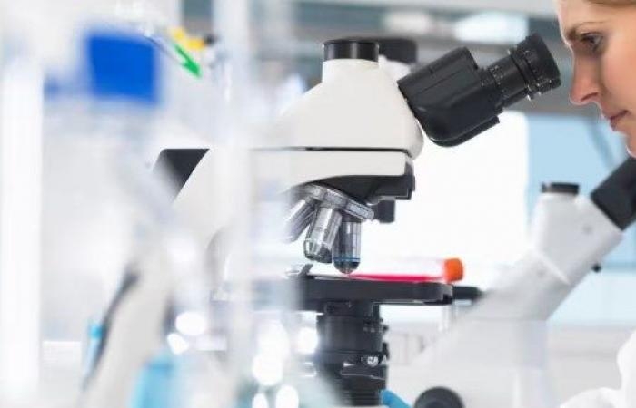 أخبار مصر : أداة ذكاء اصطناعي جديدة تسرّع تشخيص مرض السيلياك المناعي