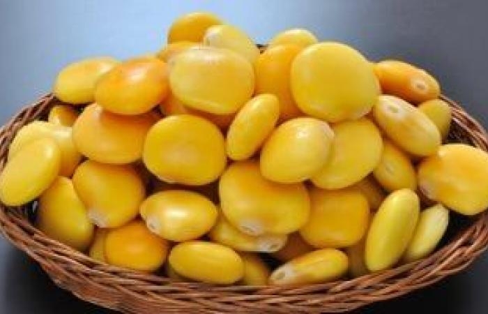 صحة وطب : الترمس أبرز تسالى عيد الفطر المبارك.. اعرف فوائده لصحتك