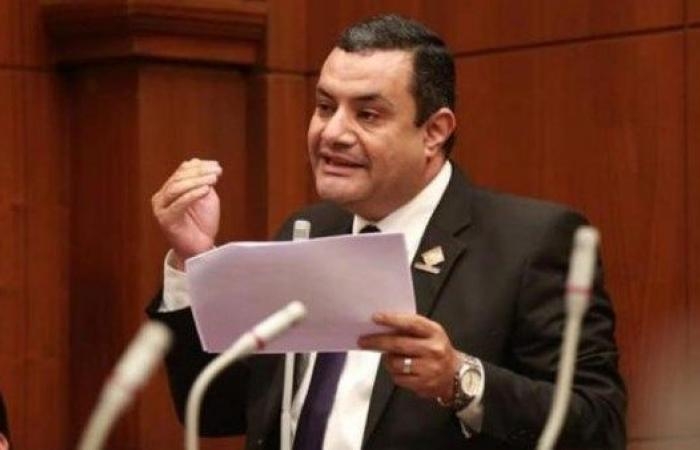 أخبار مصر : نائب: نريد تنفيذًا فعليًا لدراسة تطوير النظام الجمركي دون تكاليف إضافية