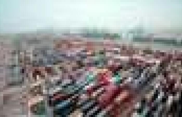 نافذة التجارة الخارجية غير النفطية في أبوظبي تنمو بـ 9% خلال 2024