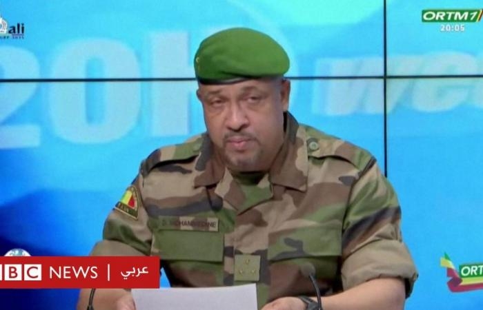 أخبار العالم : الجزائر تمنع الرحلات الجوية من مالي بعد إسقاط طائرة مسيرة