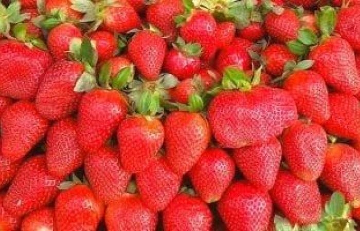 صحة وطب : أفضل الأطعمة المضادة للالتهابات داخل الجسم