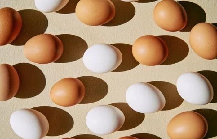 عالم المرأة : لو ولادك ما بيحبوش ياكلوا البيض اعرفى 7 بدائل تعوضهم قيمته الغذائية