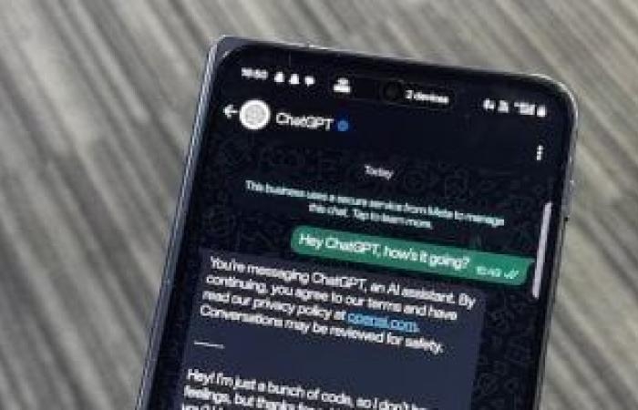 أخبار التكنولوجيا : OpenAI تقدم وصولاً مجانيًا إلى ChatGPT Plus فى هذه الدول