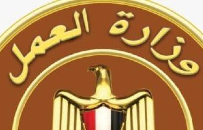 محافظات : 8 مكاتب عمل داخل محافظة بنى سويف.. تعرف على عناوينها