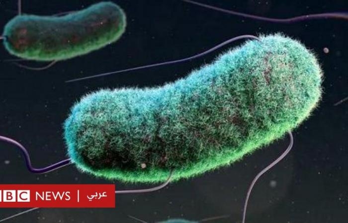 أخبار العالم : دراسة: 3 ملايين حالة وفاة بين الأطفال مرتبطة بمقاومة المضادات الحيوية