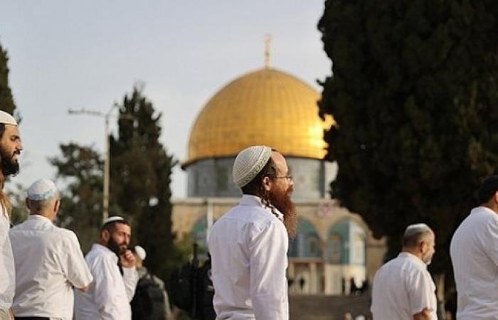 أخبار العالم : الأوقاف الإسلامية بالقدس: أكثر من 600 مستوطن اقتحموا المسجد الأقصى