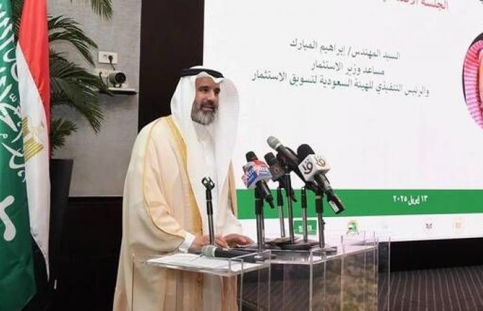 إقتصاد : مسؤول: المملكة ومصر قادرتان على بناء منظومة استثمارية تكاملية