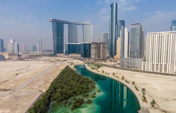 أخبار العالم : الحارس البيئي للإمارات.. مصورة تبرز دور أشجار القرم بمكافحة تغير المناخ