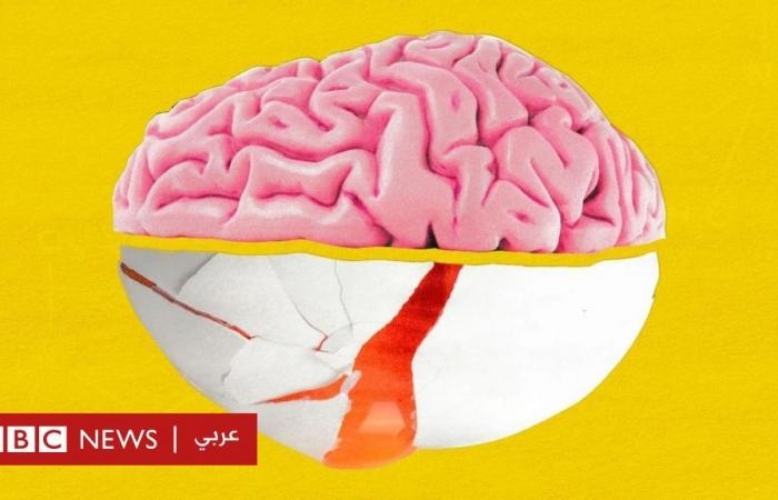 أخبار العالم : دراسات: البيض خيار مثالي لأحد العناصر المهمة لصحة الدماغ