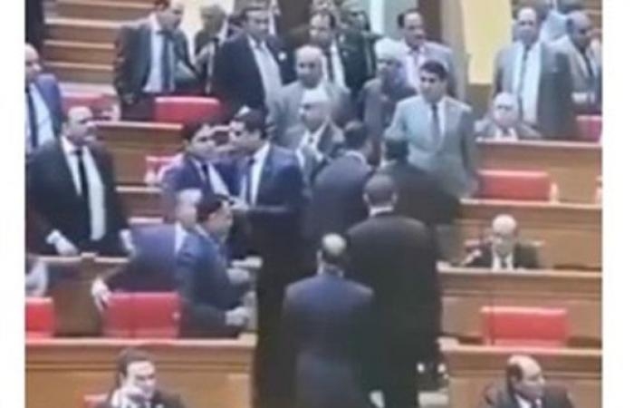 سياسة : شاهد.. مشاجرة بالأيدي بين أعضاء مجلس النواب لهذا السبب