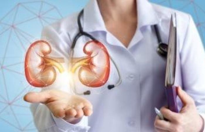 صحة وطب : لهؤلاء الأشخاص.. يجب إجراء فحوصات الكلى بانتظام