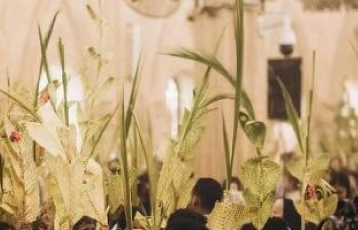 أخبار السياسة : أحزاب تهنئ الأقباط بعيد القيامة المجيد: مصر ستظل قوية بوحدتها الوطنية