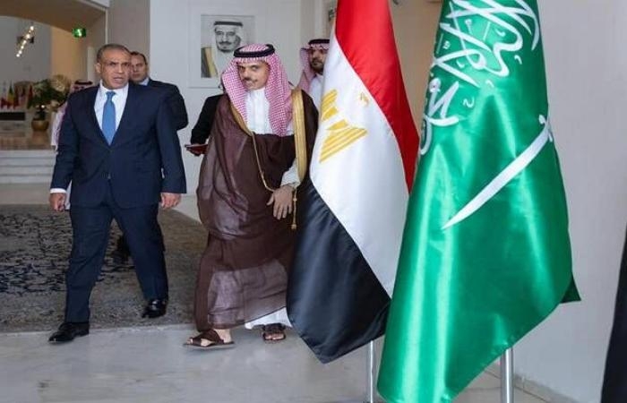 إقتصاد : مصر والسعودية تتفقان على تدشين مجلس تنسيق أعلى وتعزيز الشراكة الشاملة