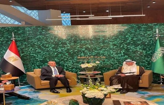 إقتصاد : مصر تؤكد استعدادها لتعميق الشراكة الاستراتيجية مع المملكة بمشاريع الطاقة الخضراء