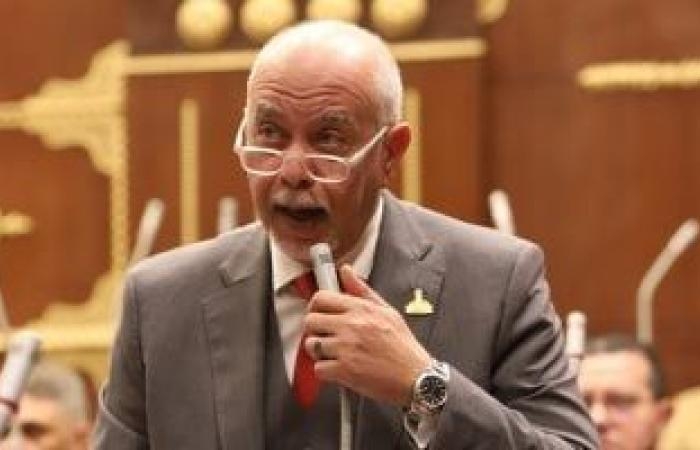 أخبار السياسة : حازم الجندى: تسهيل دخول الماركات العالمية خطوة مهمة لدعم سياحة المشتريات