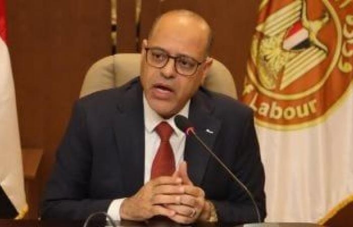 تقارير مصرية : منح مجانية من وزارة العمل للتدريب على 28 مهنة.. اعرف التفاصيل