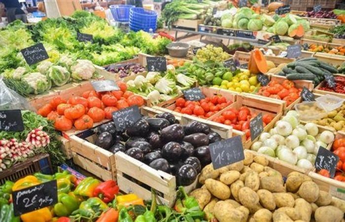 أخبار العالم : أسعار الخضار والفواكه اليوم الجمعة 9 مايو 2025 في الأسواق
