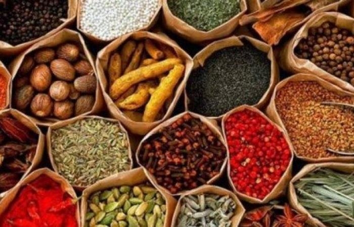 أخبار مصر : تحذير من الإفراط في شرب مشروبات الأعشاب.. ما القصة؟