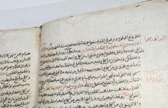 ثقافة : مخطوطات تاريخية نادرة.. وصفات دوائية لـ بن سيناء تعود للقرن الـ14