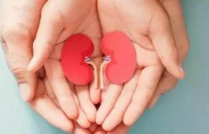 صحة وطب : بتدمر الكلى من غير ما تاخد بالك.. هذه العادات يجب الابتعاد عنها