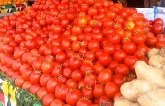 محافظات : أسعار الخضراوات والفاكهة اليوم الجمعة 16-5-2025 بالإسماعيلية.. الطماطم بـ15جنيها