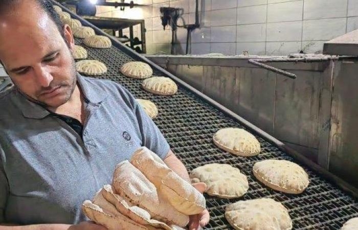 ضبط 25 طن أغذية غير مطابقة للمواصفات وتحرير 366 مخالفة