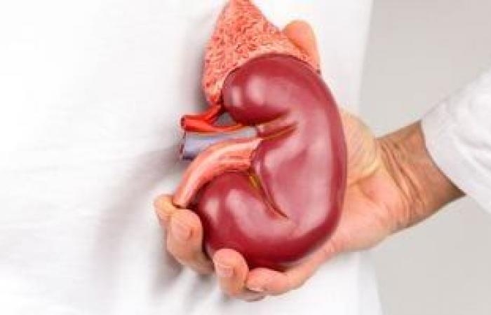 صحة وطب : احذر.. هذه الأدوية الشائعة تضر بالكلى.. كيف تتناولها بطريقة أمنة؟