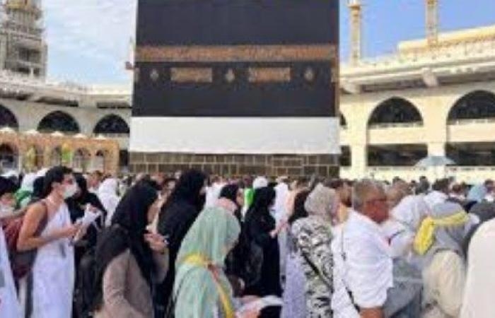 أخبار مصر : الفيتامينات والتغذية الصحية.. روشتة طبية ونصائح للحجاج قبل السفر