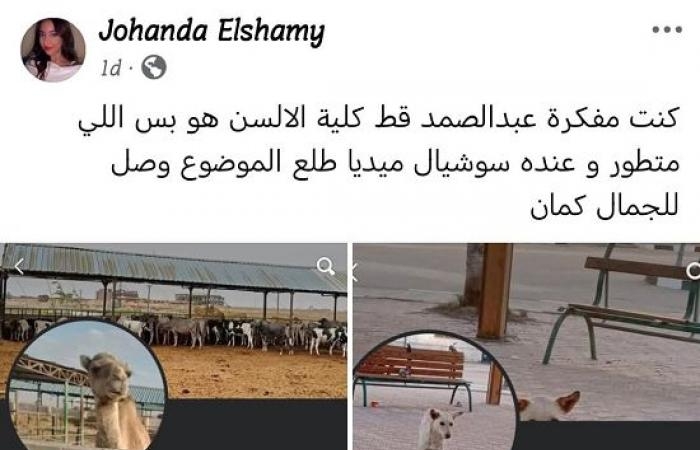 عالم المرأة : من قطة ألسن لكلب طب المنصورة.. حيوانات الجامعات نجوم على السوشيال ميديا