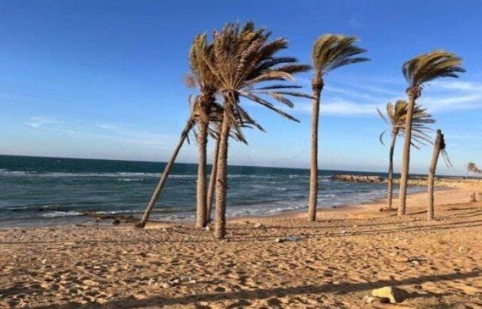 برلماني: سيناء قاطرة التنمية وحجم الاستثمارات غير مسبوق