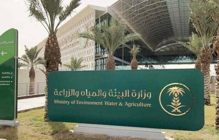 إقتصاد : "البيئة" تطلق خدمة إصدار رخص الأنشطة الزراعية والحيوانية والسمكية عبر منصة "نما"