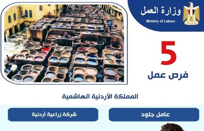 تقارير مصرية : وزارة العمل تعلن فرص عمل فى الأردن بمرتبات تصل إلى 320 دينارا شهريا