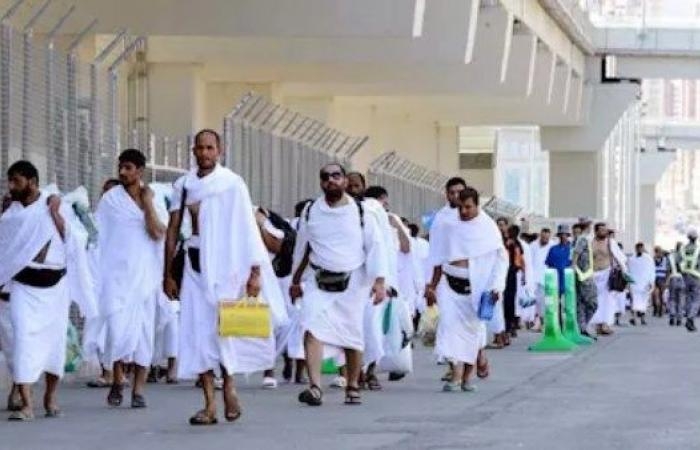 أخبار مصر : رئيس بعثة الحج: وصول 5550 حاجًا من بعثة القرعة إلى مكة المكرمة