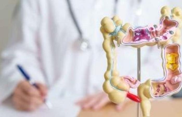 صحة وطب : إضافة بسيطة إلى نظامك الغذائي تقلل خطر الإصابة بسرطان القولون