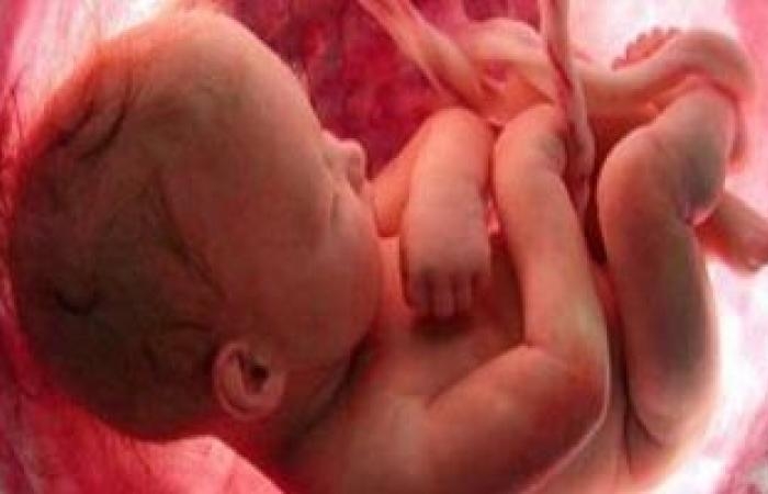 صحة وطب : برمجة الجنين.. كيف تتشكل صحة الإنسان بداية من وجوده فى الرحم