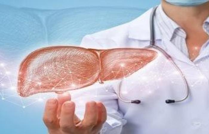 صحة وطب : لمرضى السكر والسمنة.. لماذا يجب إجراء تحليل وظائف الكبد بانتظام؟