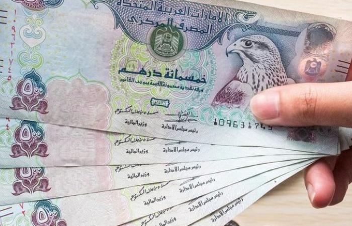 سعر الدرهم الإماراتي مقابل الجنيه المصري اليوم الخميس 22 مايو 2025