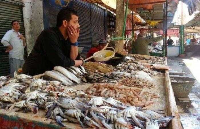أخبار مصر : أسعار الأسماك والجمبرى اليوم الخميس 22 -5-2025