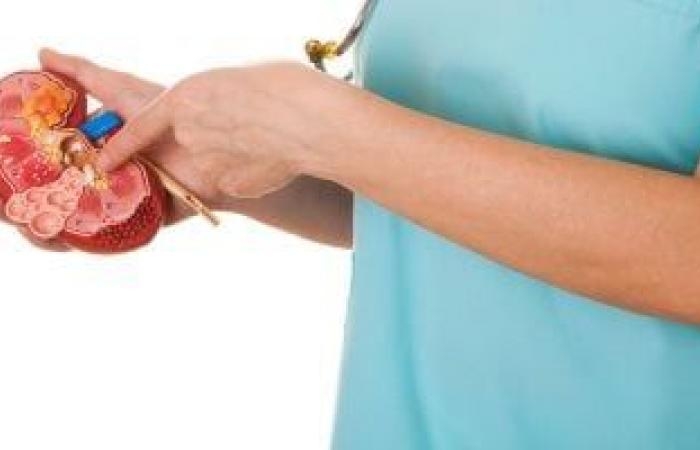 صحة وطب : حصوات الكلى.. هل تختلف الأعراض لدى الرجال عن النساء؟