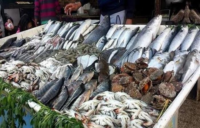 أخبار مصر : سعر الأسماك والمأكولات البحرية اليوم 25-5-2025